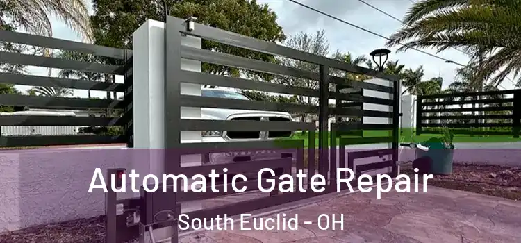  Automatic Gate Repair South Euclid - OH