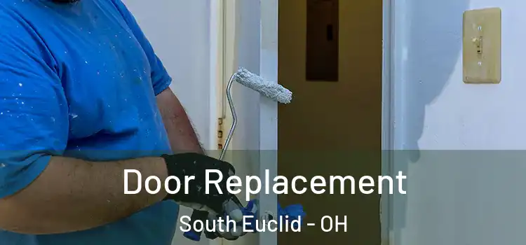  Door Replacement South Euclid - OH
