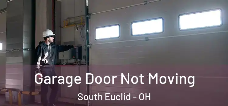  Garage Door Not Moving South Euclid - OH