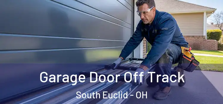  Garage Door Off Track South Euclid - OH