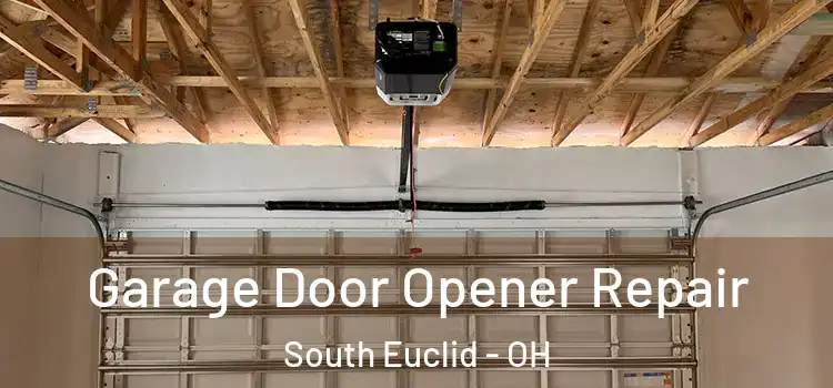  Garage Door Opener Repair South Euclid - OH