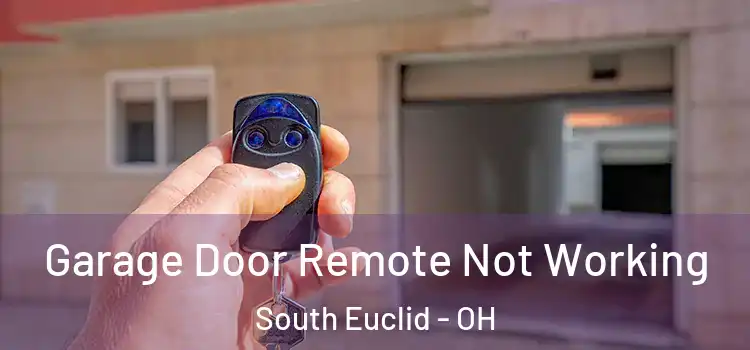  Garage Door Remote Not Working South Euclid - OH