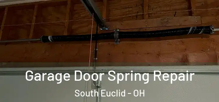  Garage Door Spring Repair South Euclid - OH