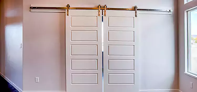 Glass Barn Door with Installation Hardware Kit South Euclid