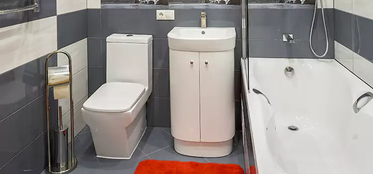 Hansgrohe Shaving Mirror South Euclid