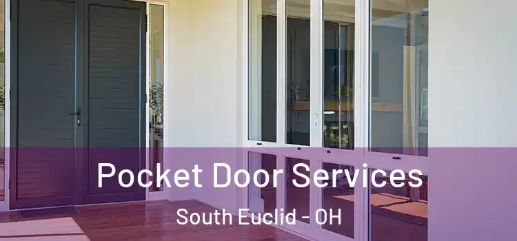  Pocket Door Services South Euclid - OH