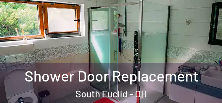  Shower Door Replacement South Euclid - OH