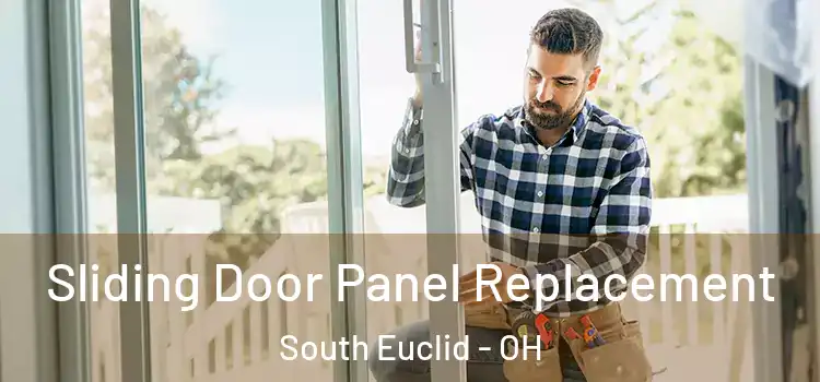  Sliding Door Panel Replacement South Euclid - OH