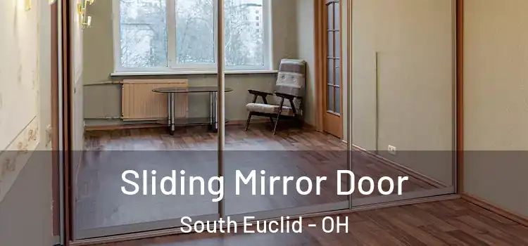  Sliding Mirror Door South Euclid - OH